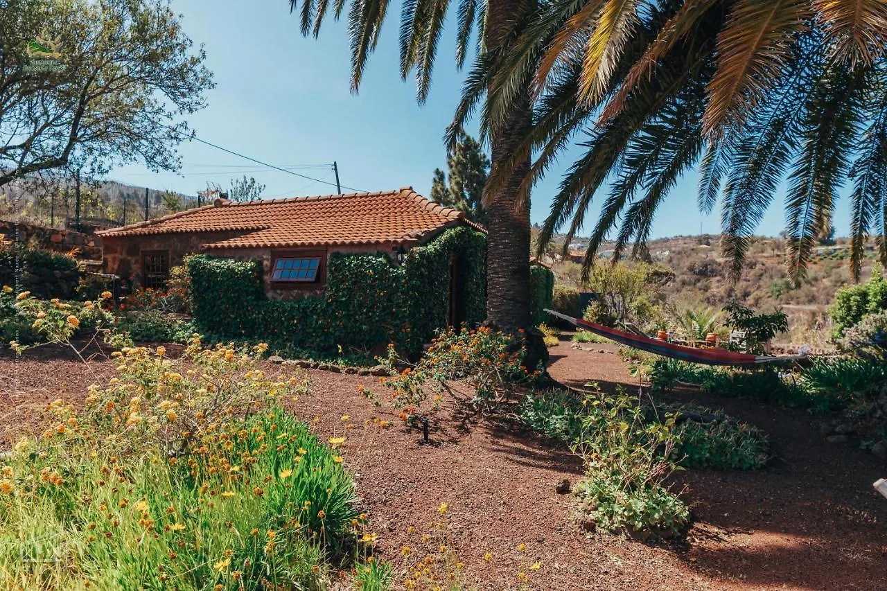 Casa Palmera Puntagorda